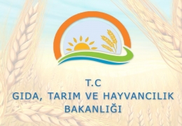 Araştırma Enstitüsü/İstasyon Müdürlüklerinde istihdam edilmek üzere 2 Adet Ziraat Mühendisi Alım İlanı