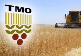 Toprak Mahsulleri Ofisi Müfettiş Yardımcılığı Alım İlanı